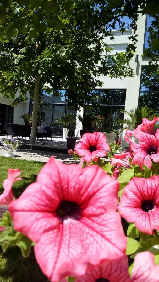 Mesecev Konak Bed & Breakfast Ni Екстериор снимка