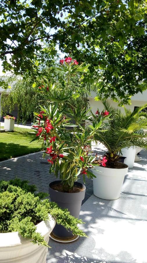 Mesecev Konak Bed & Breakfast Ni Екстериор снимка